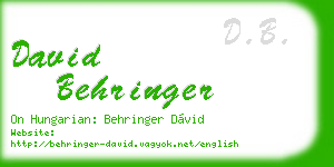 david behringer business card